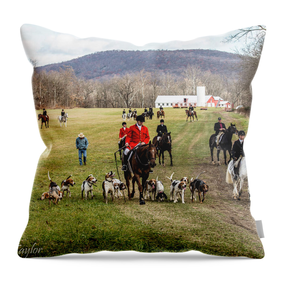 Foxhounds Throw Pillow featuring the photograph Chamberlain's 21 by Pamela Taylor