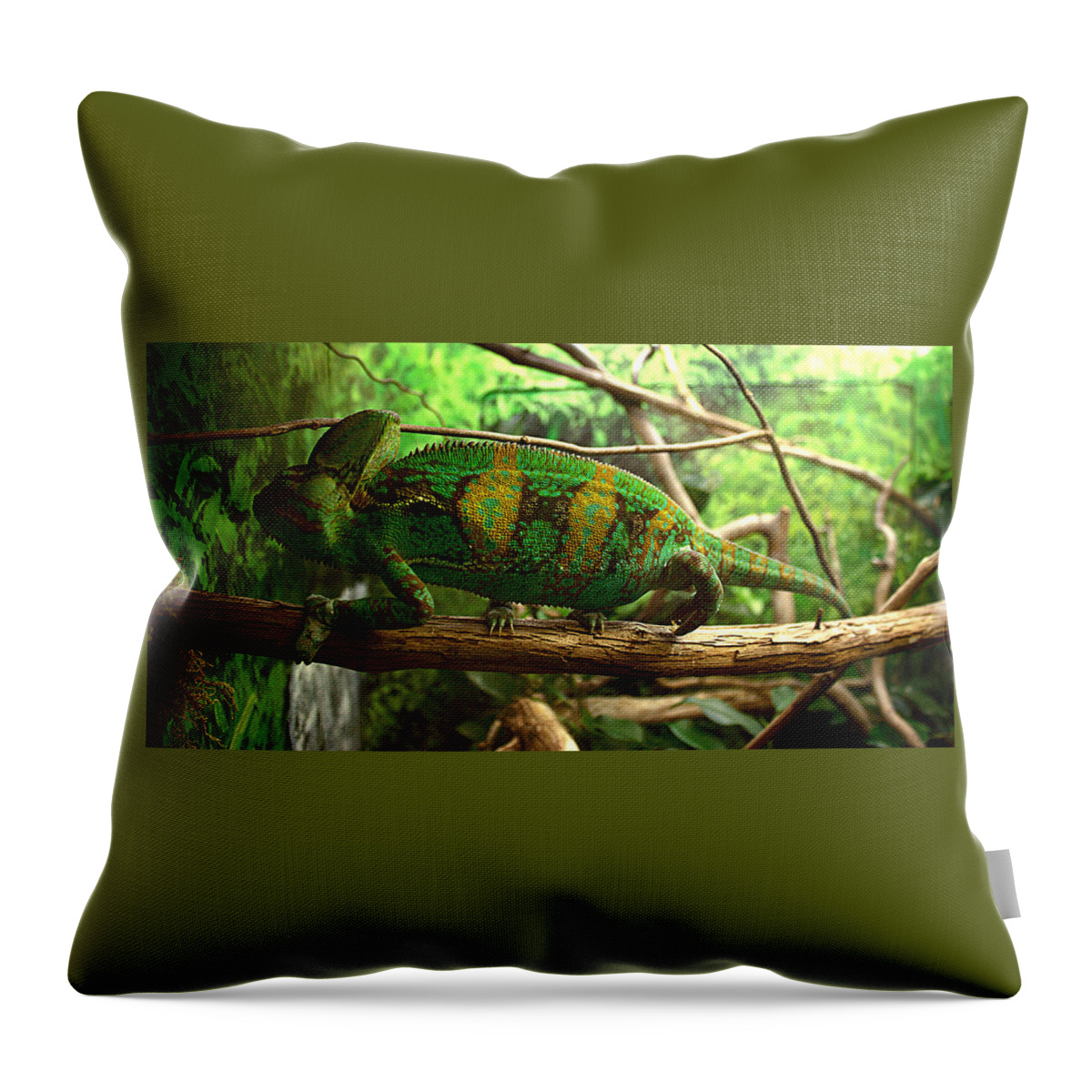 James Smullins Throw Pillow featuring the photograph Chameleon by James Smullins