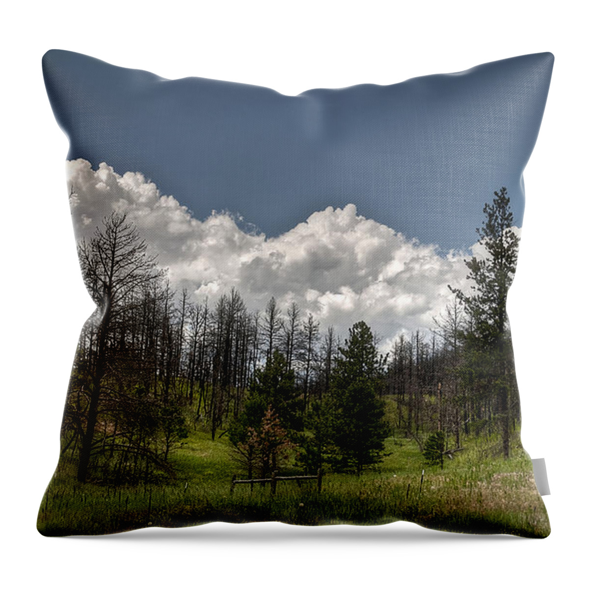 Outdoor Throw Pillow featuring the photograph Chance of Clouds by Deborah Klubertanz