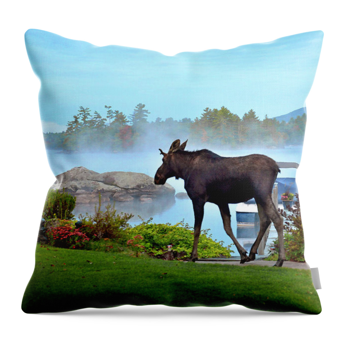 Jigsaw Throw Pillow featuring the photograph Chance Sighting by Carole Gordon