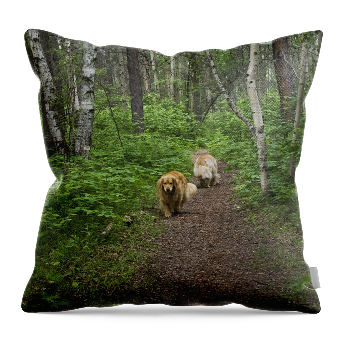 Photograph Throw Pillow featuring the photograph Change of Heart by Rhonda McDougall