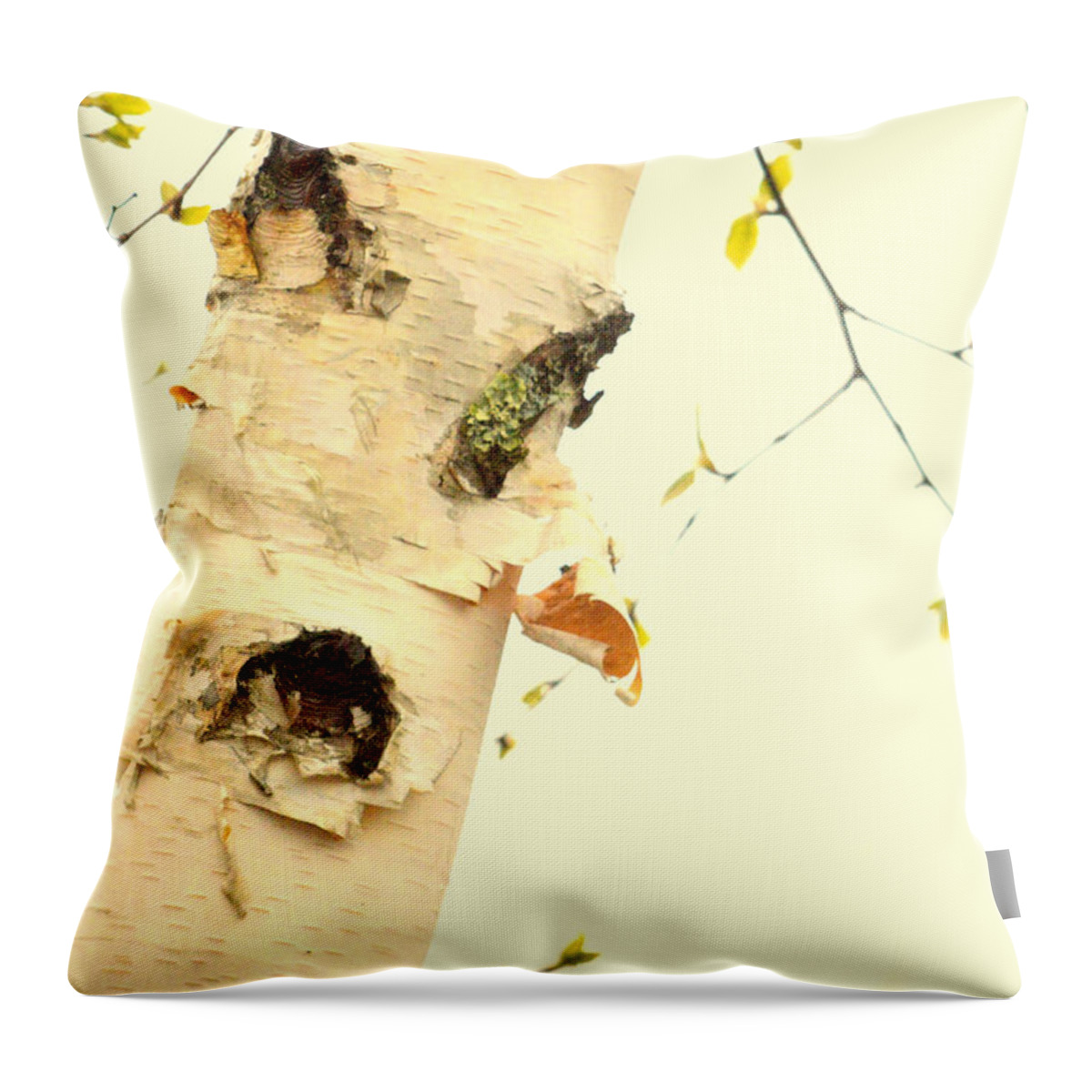  Throw Pillow featuring the photograph Changes by Al Swasey