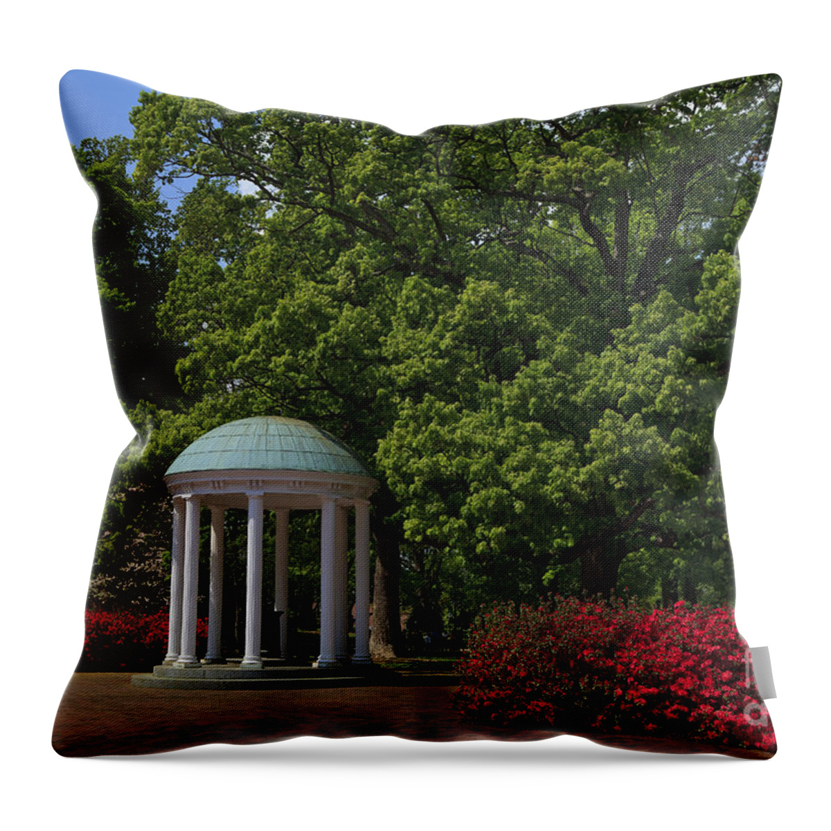 The Throw Pillow featuring the photograph Chapel Hill Old Well by Jill Lang