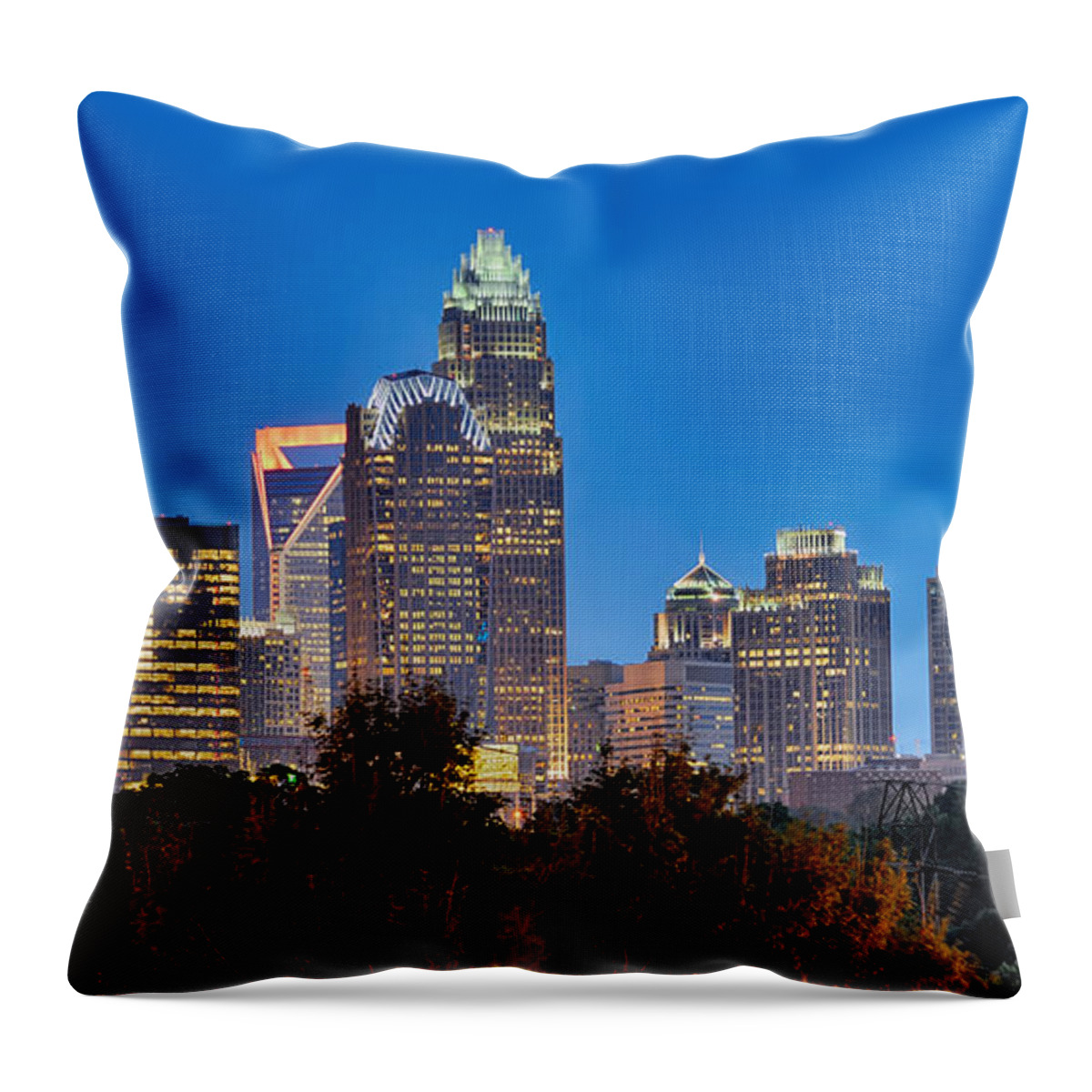 Charlotte Throw Pillow featuring the photograph Charlotte View From Cordelia Park by Alex Grichenko