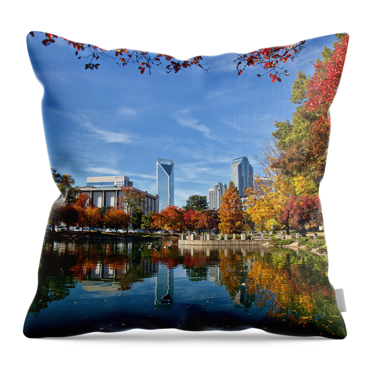 Charlotte Throw Pillow featuring the photograph Charlotte's Marshall Park by Jill Lang
