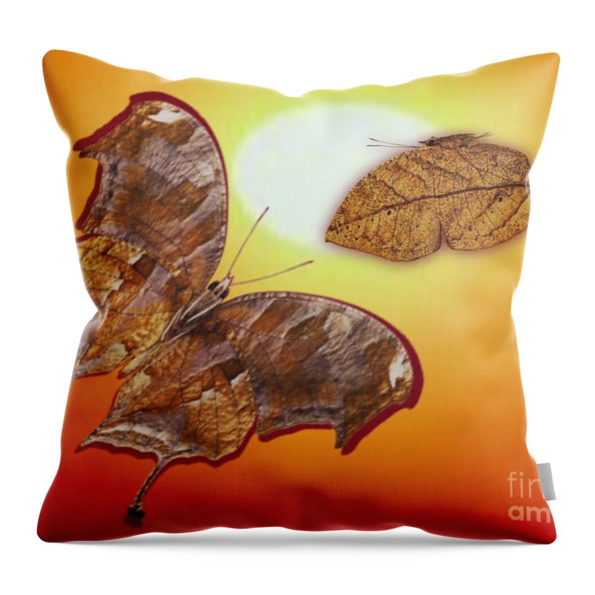 Insect Throw Pillow featuring the drawing Chasing by Belinda Threeths