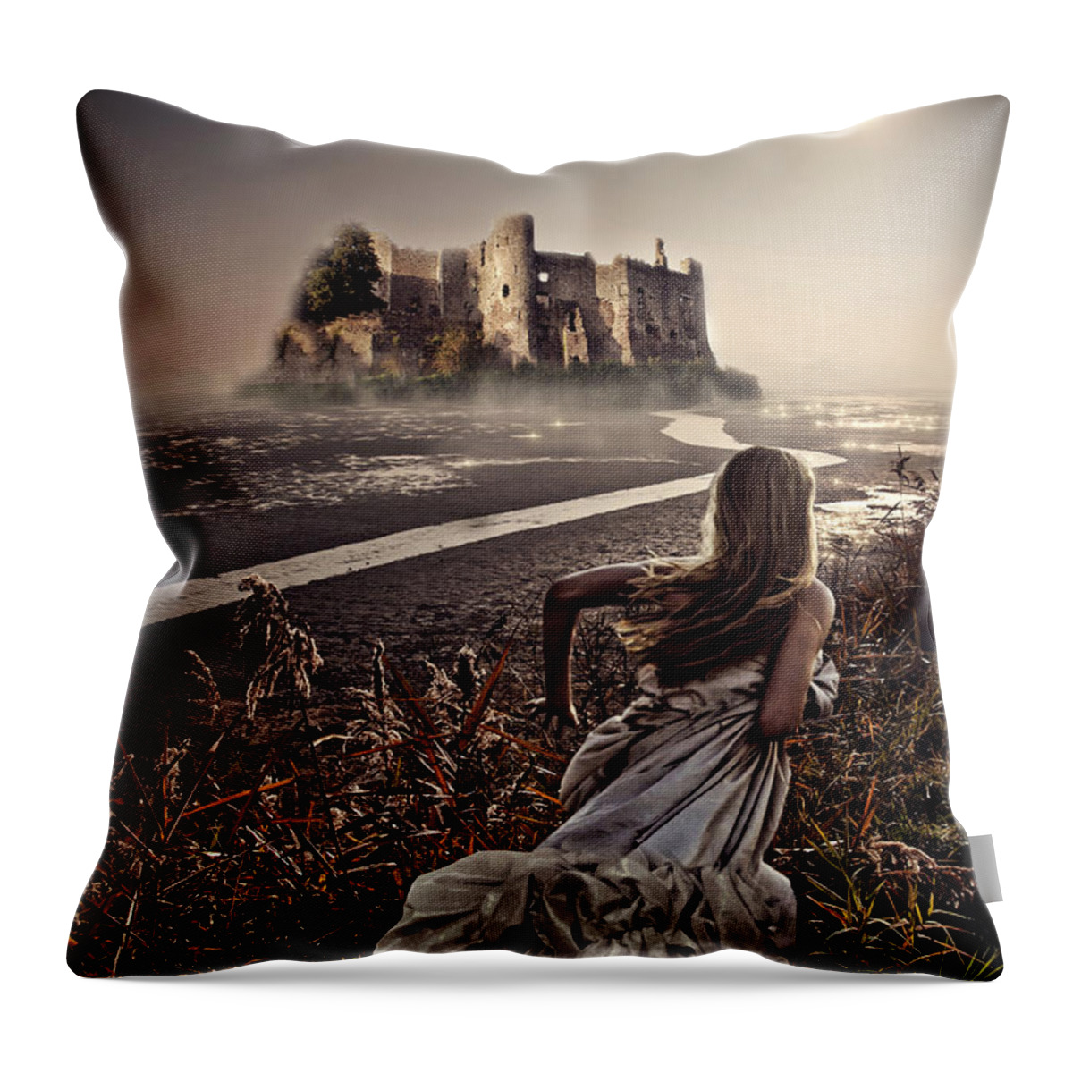 Chasing The Dreams Throw Pillow featuring the photograph Chasing the Dreams by Mo T