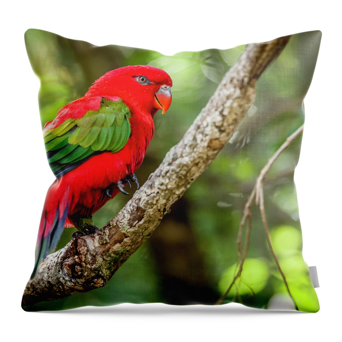 Plettenberg Bay Throw Pillow featuring the photograph Chattering Lory by Alexey Stiop