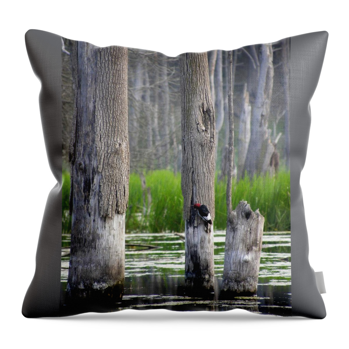 Woodpecker Throw Pillow featuring the photograph Around the Corner by Jewels Hamrick