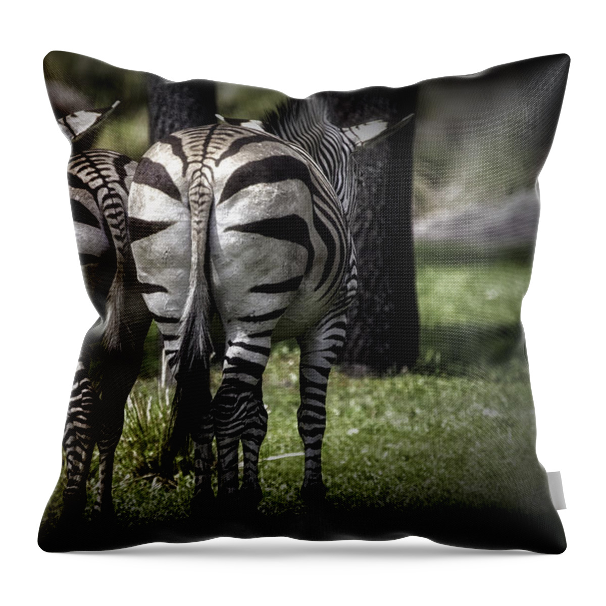 Zebras Throw Pillow featuring the photograph Cheek To Cheek by Mary Lou Chmura