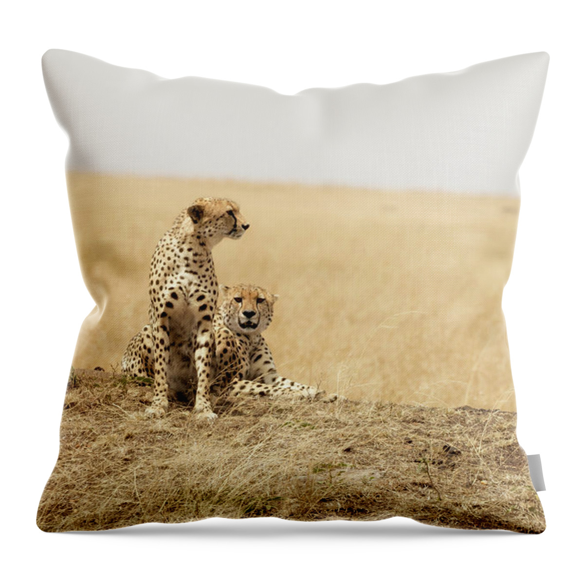 Africa Throw Pillow featuring the photograph Cheetah pair in the Masai Mara by Jane Rix