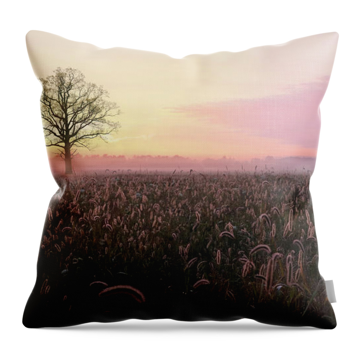 Sunrise Throw Pillow featuring the photograph Cherish the Simple Things by Lori Deiter