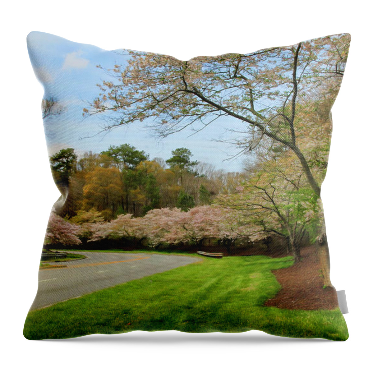 Cherry Tree Throw Pillow featuring the photograph Cherry Blossom Boulevard by Ola Allen