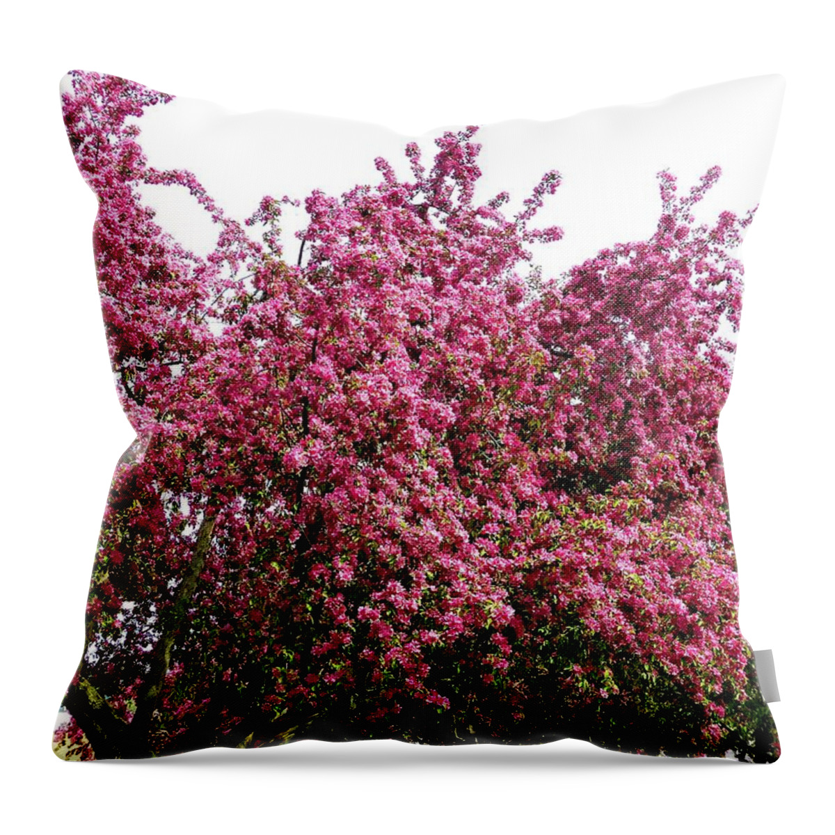 Cherry Blossoms Throw Pillow featuring the photograph Cherry Blossoms 2 by Will Borden