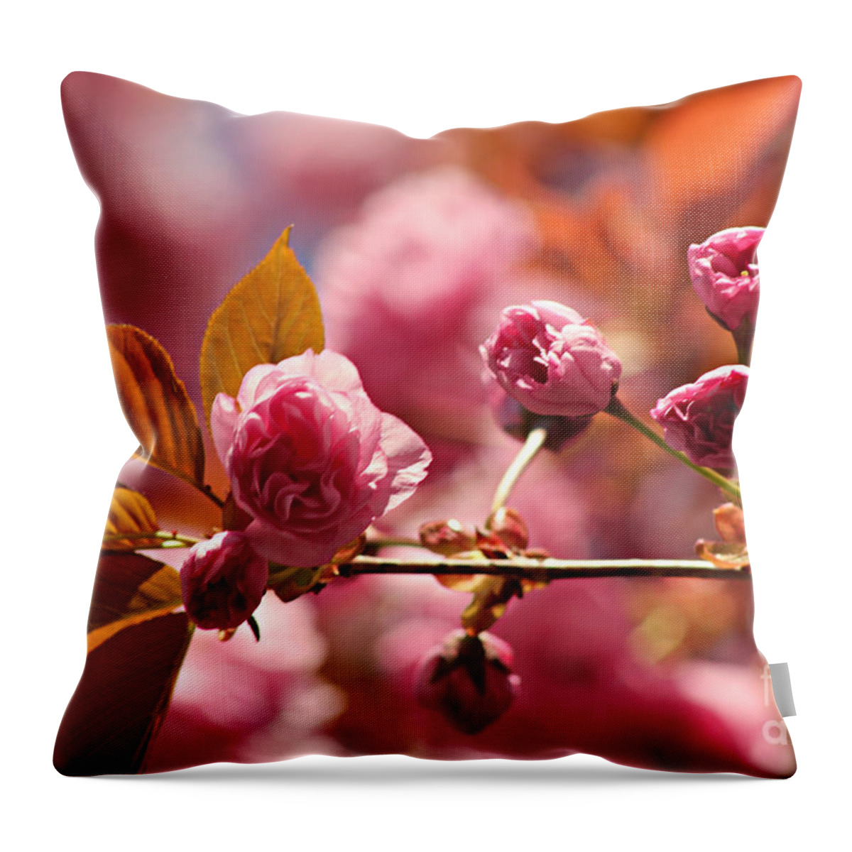 Japanese Throw Pillow featuring the photograph Cherry Blossoms by Judy Palkimas