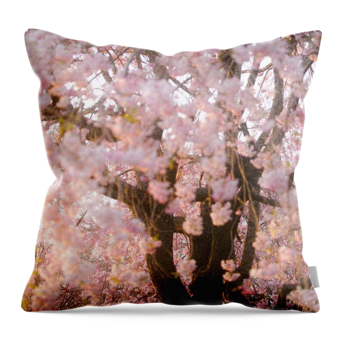 Cherryblossoms Throw Pillow featuring the photograph Cherry blossoms#11 by Yasuhiro Fukui