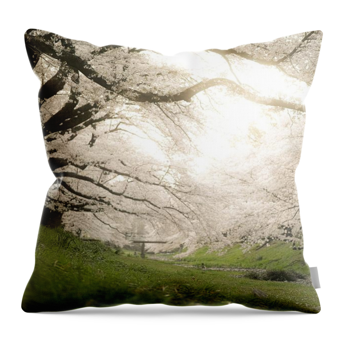 Cherryblossoms Throw Pillow featuring the photograph Cherry blossoms#7 by Yasuhiro Fukui