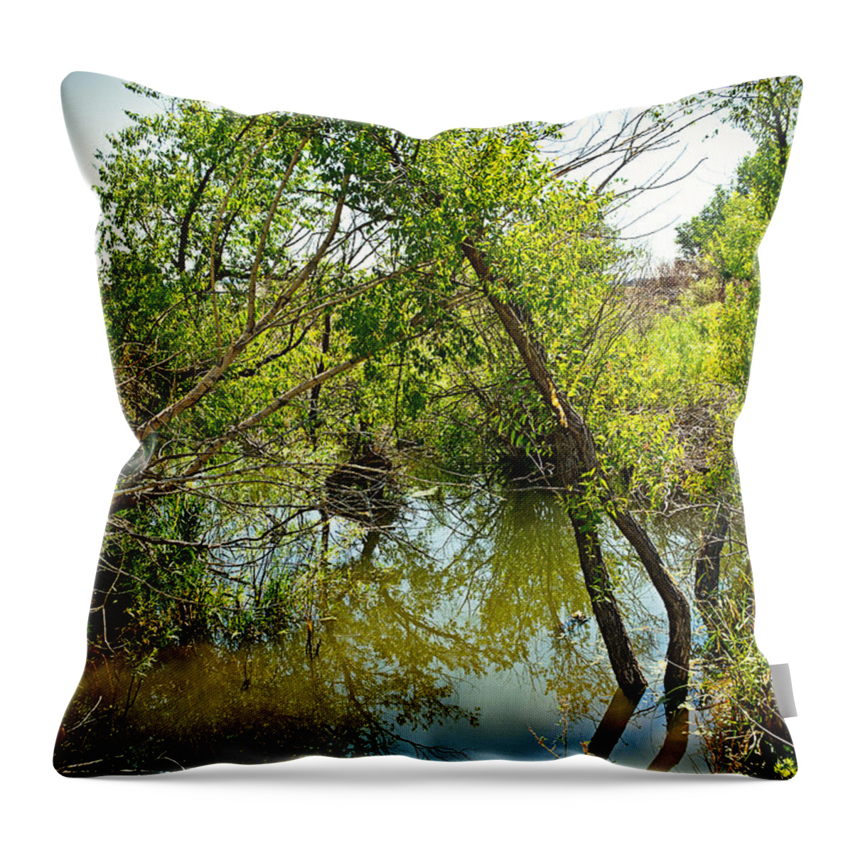 Cherry Creek Throw Pillow featuring the photograph Cherry Creek Trail Study 3 by Robert Meyers-Lussier