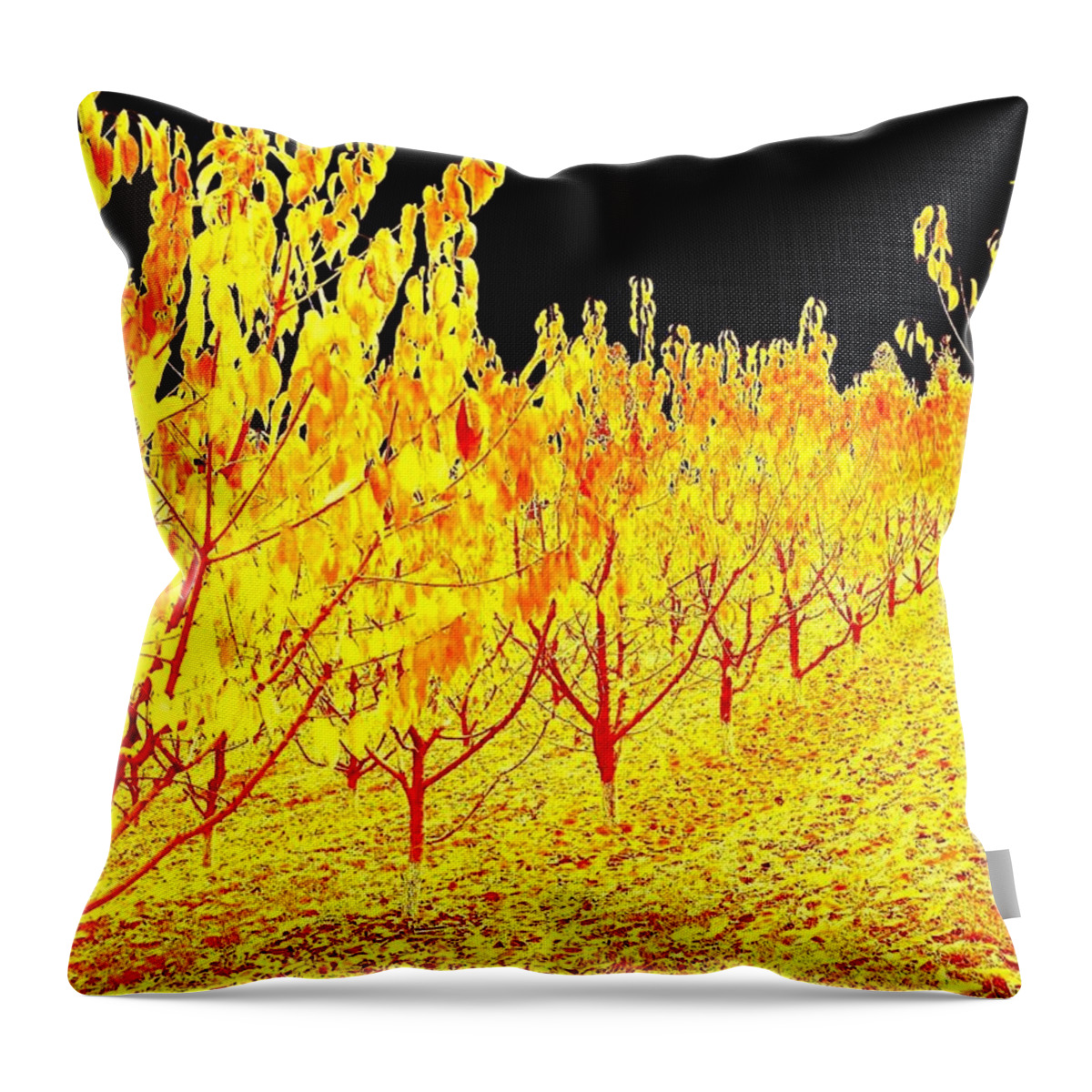 Cherry Orchard Throw Pillow featuring the digital art Cherry Orchard by Will Borden