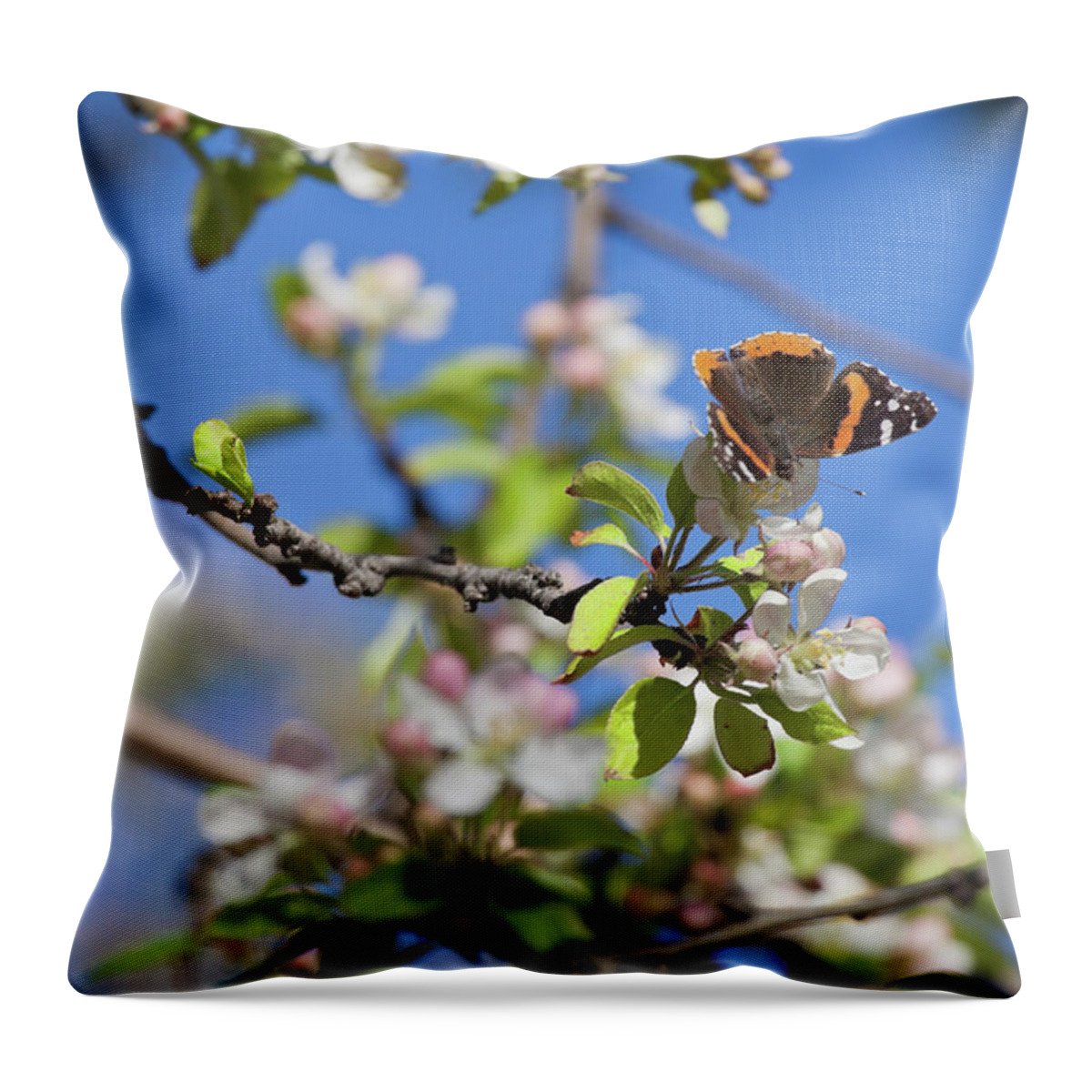 Butterfly Throw Pillow featuring the photograph Monarch Butterfly on Cherry Tree by Tatiana Travelways