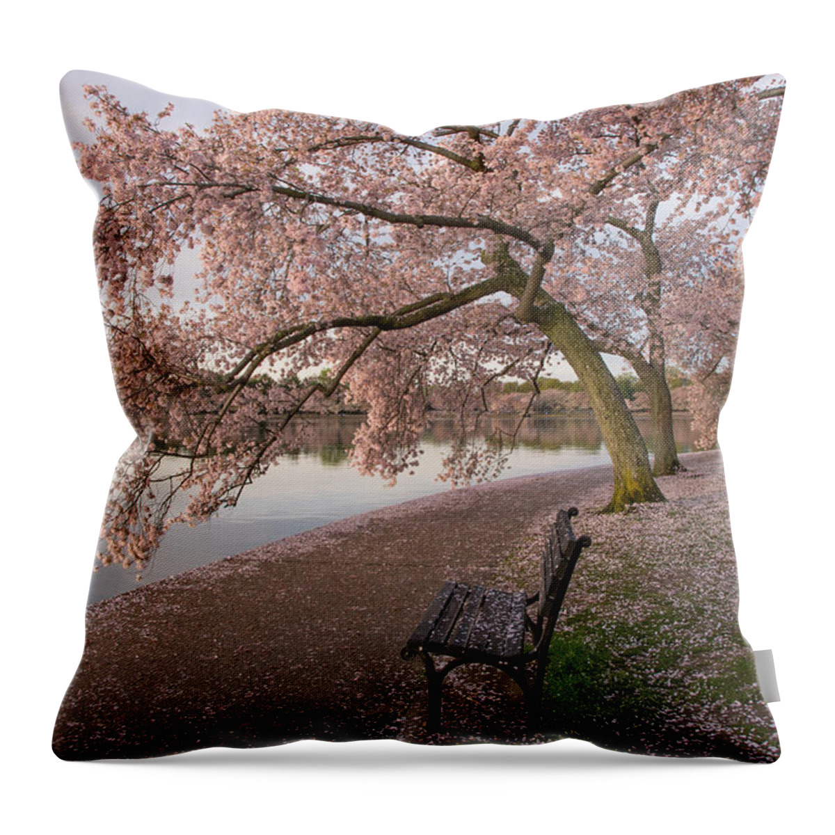 Basin Throw Pillow featuring the photograph Cherry Trees and park bench by Jack Nevitt