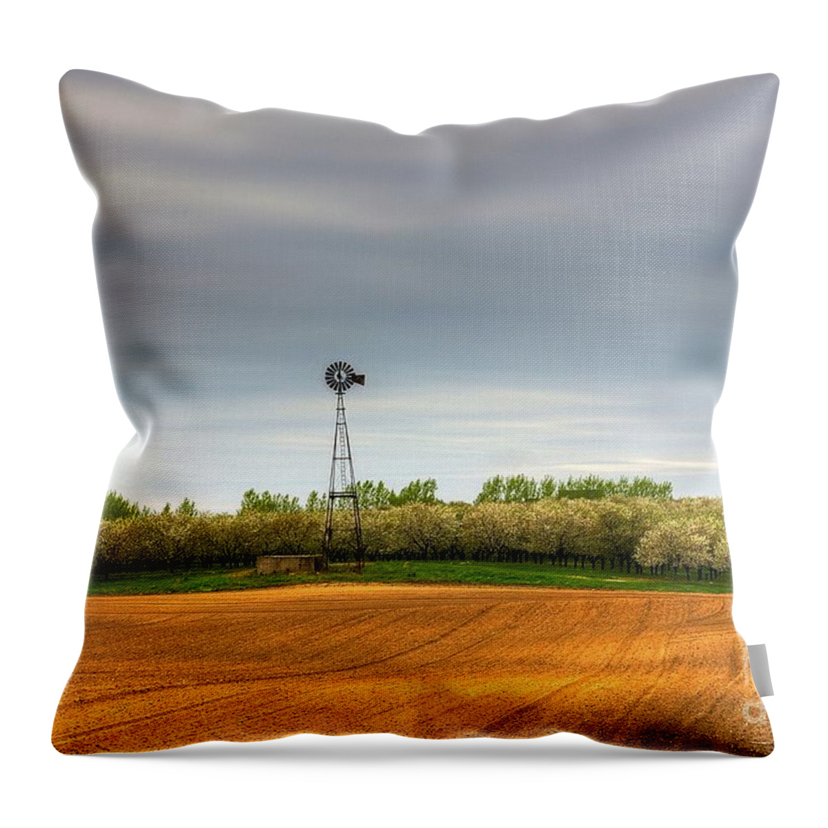 Cherry Throw Pillow featuring the photograph Cherry Valley by Randy Pollard