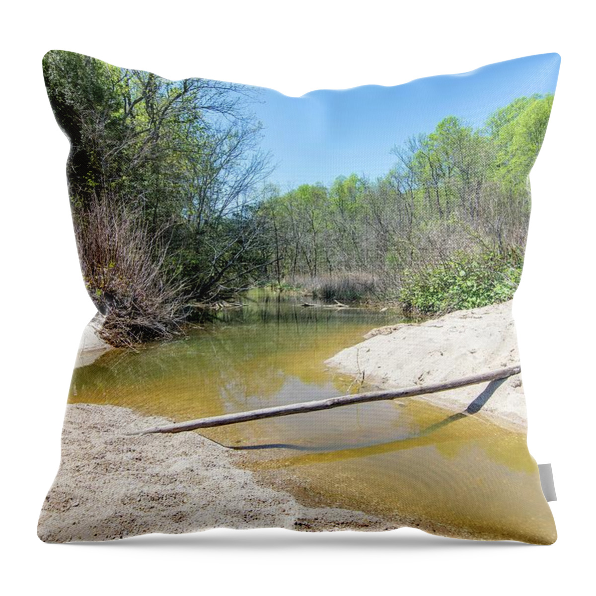 Landscape Throw Pillow featuring the photograph Chesapeake Tributary by Charles Kraus