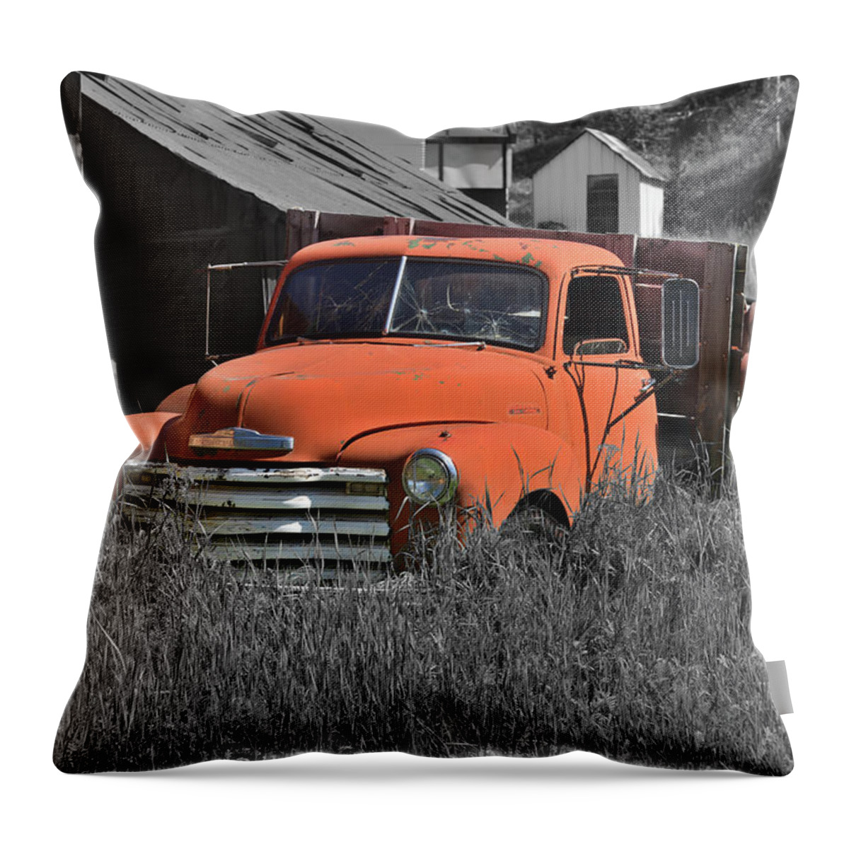 Truck Throw Pillow featuring the photograph Chevrolet At Rest by Richard J Cassato