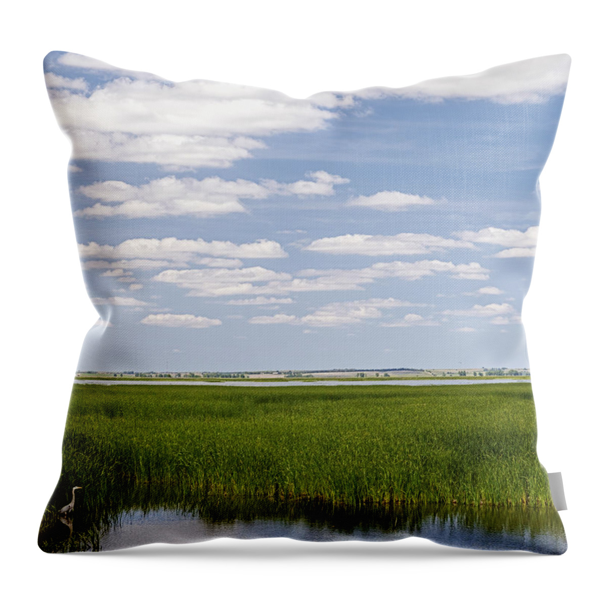 Kansas Throw Pillow featuring the photograph Cheyenne Bottoms by Rob Graham