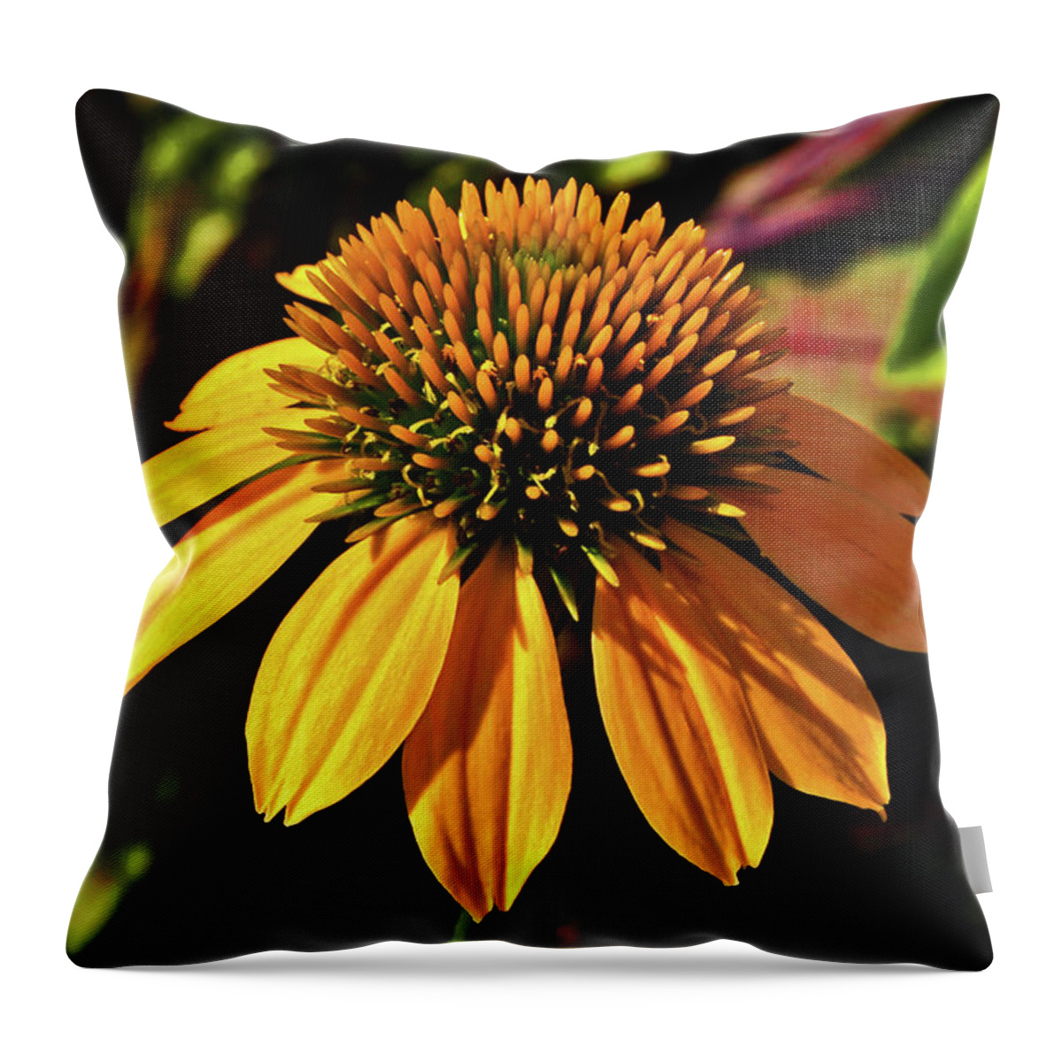 Flower Throw Pillow featuring the photograph Cheyenne Spirit Coneflower - Harvest Moon 001 by George Bostian