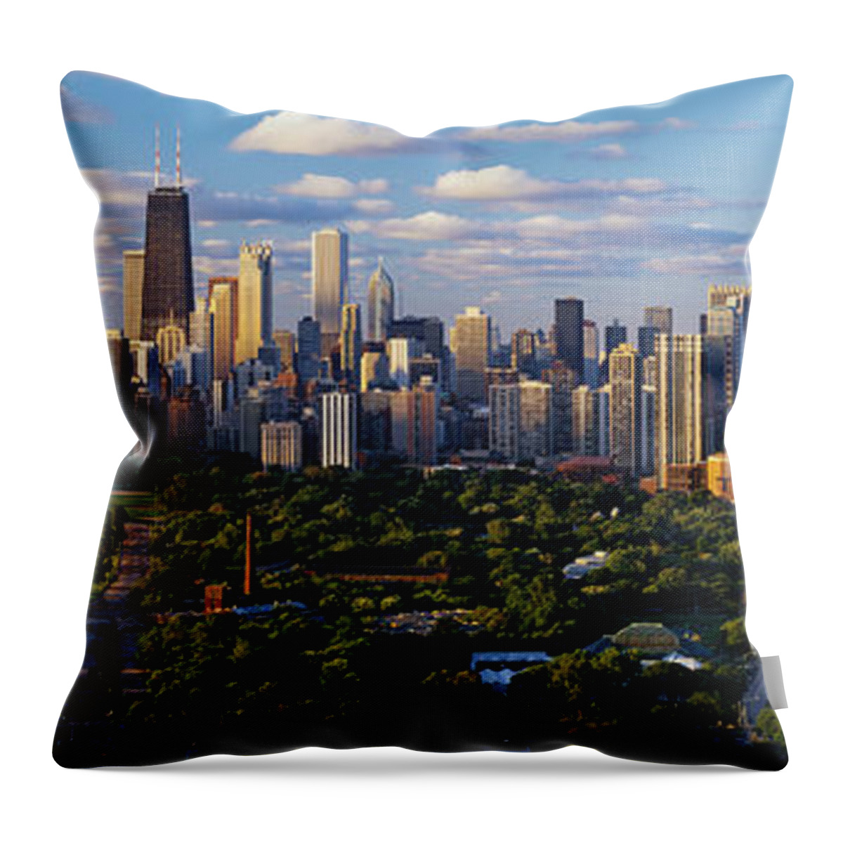 Photography Throw Pillow featuring the photograph Chicago Il by Panoramic Images