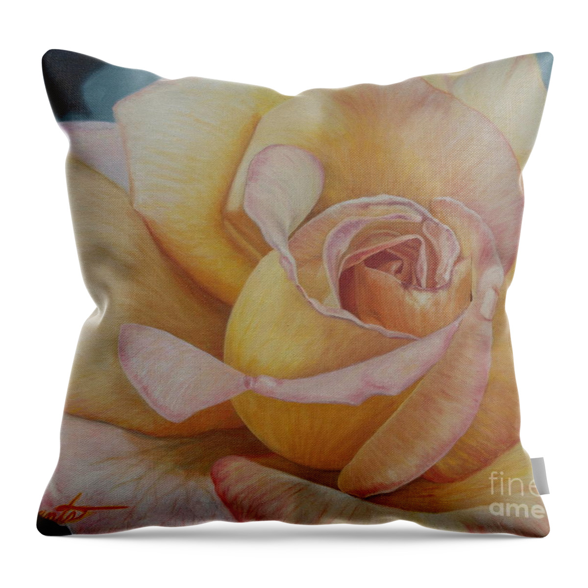  Throw Pillow featuring the painting Chicago Peace by Barbara Barber