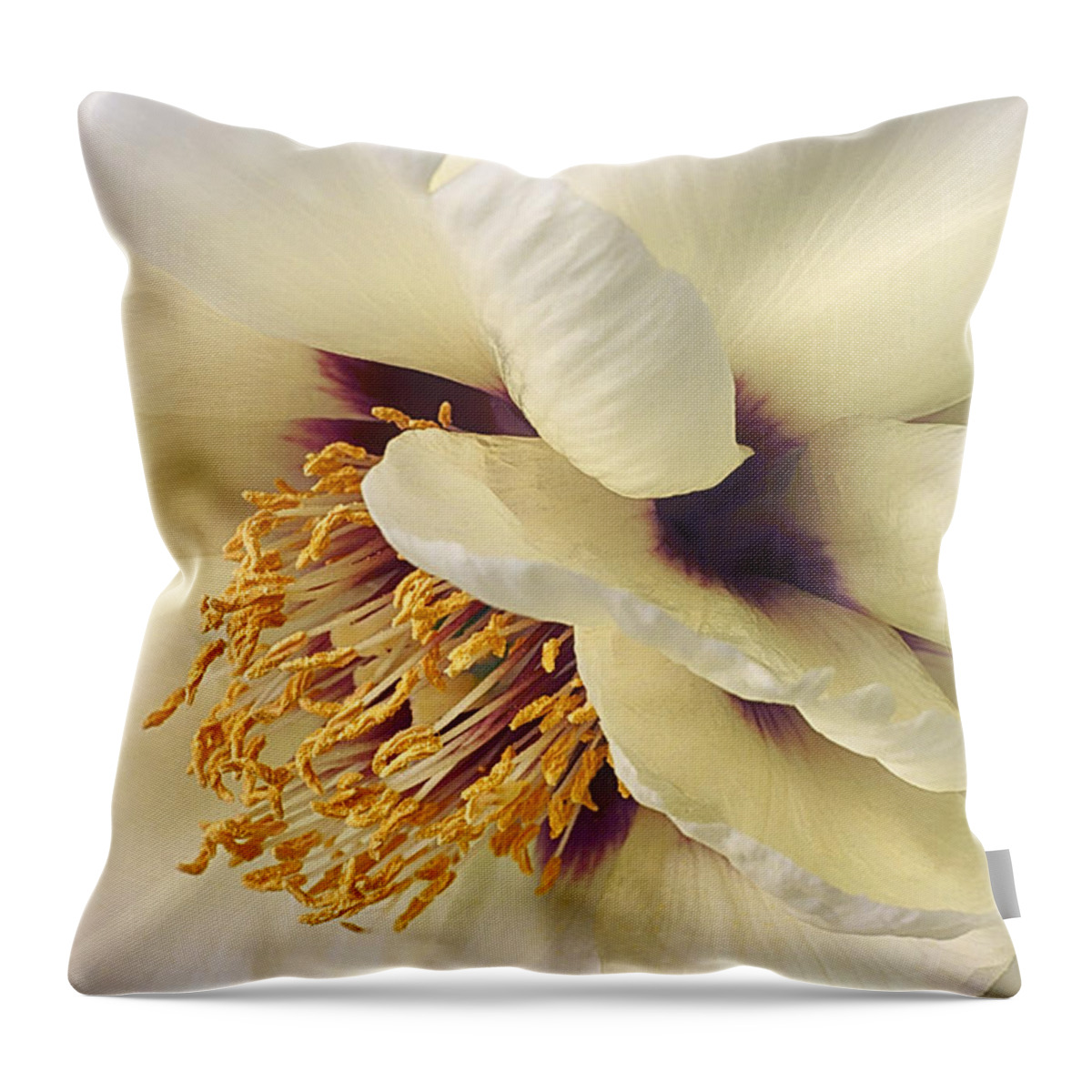 Floral Throw Pillow featuring the photograph Chichi by Darlene Kwiatkowski
