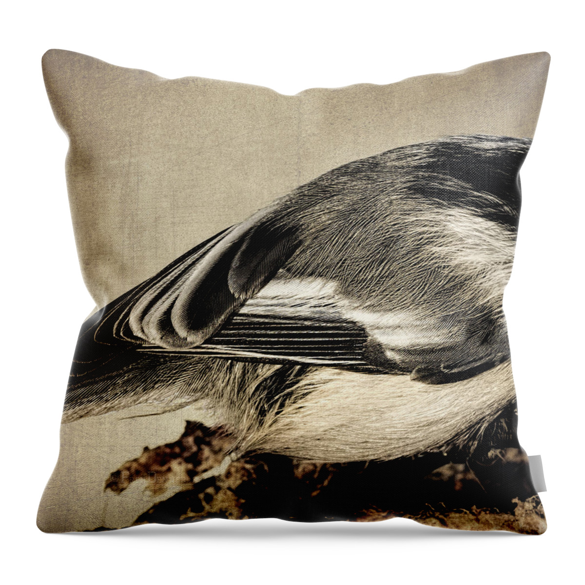 Bird Throw Pillow featuring the photograph Chickadee Feathers by Fred Denner