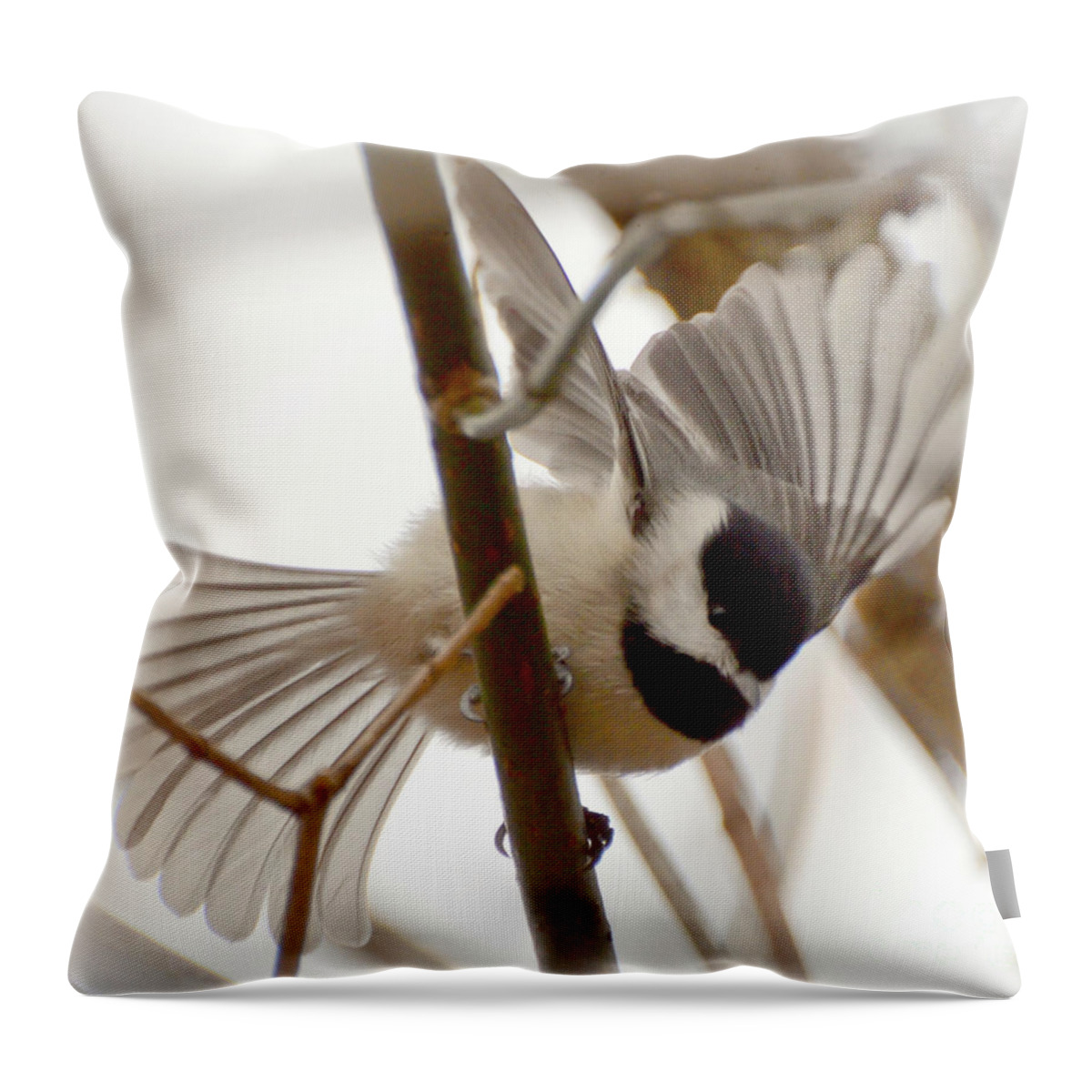 Carolina Chickadee Throw Pillow featuring the photograph Chickadee Wings by Kerri Farley