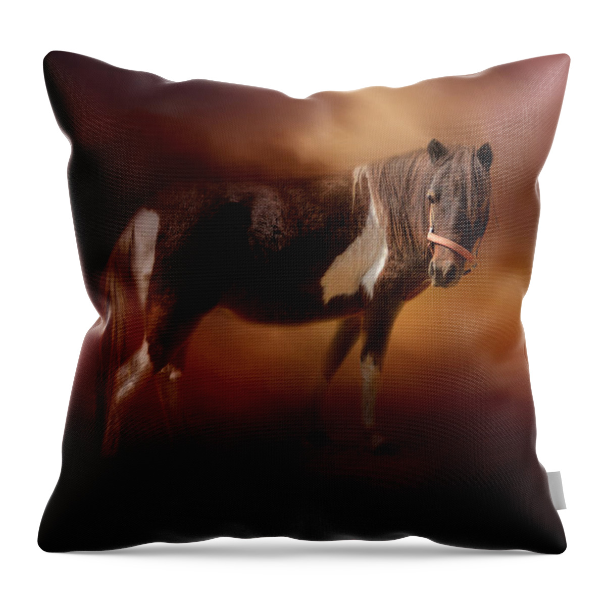 Jai Johnson Throw Pillow featuring the photograph Chickasaw Pony In Autumn by Jai Johnson