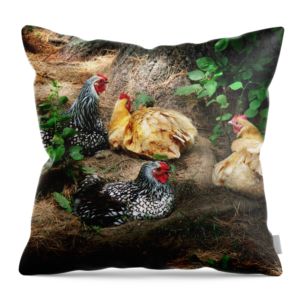 Chicken Dust Bath Party Throw Pillow featuring the photograph Chicken Dust Bath party by Joy Nichols