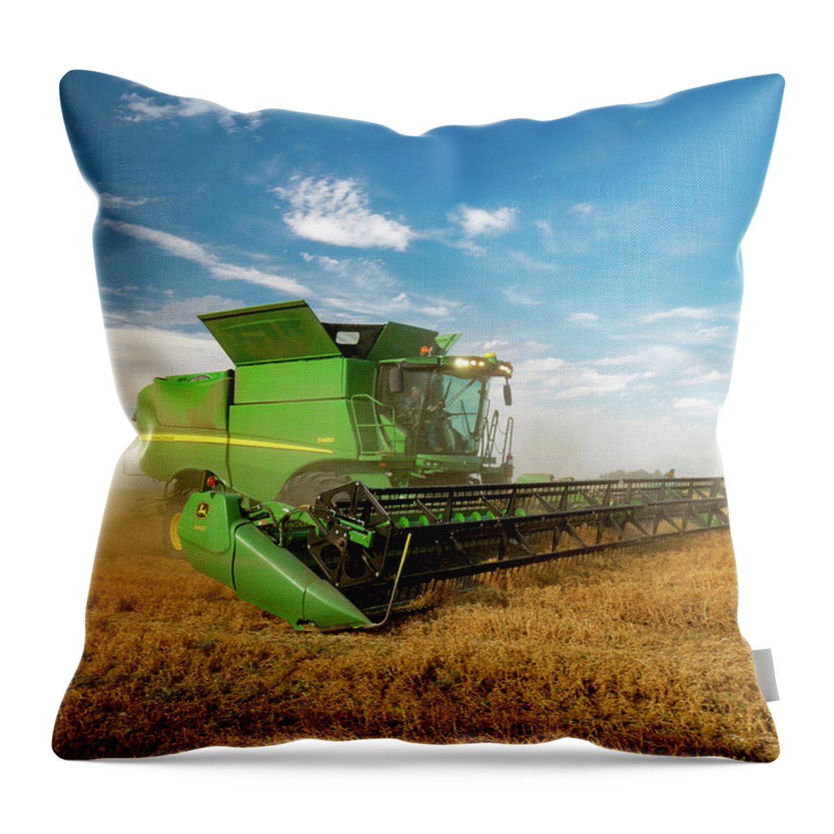 Chickpeas Throw Pillow featuring the photograph Chickpea Harvest by Todd Klassy