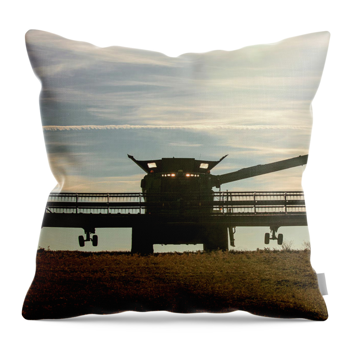 Chickpeas Throw Pillow featuring the photograph Chickpea Silhouette by Todd Klassy