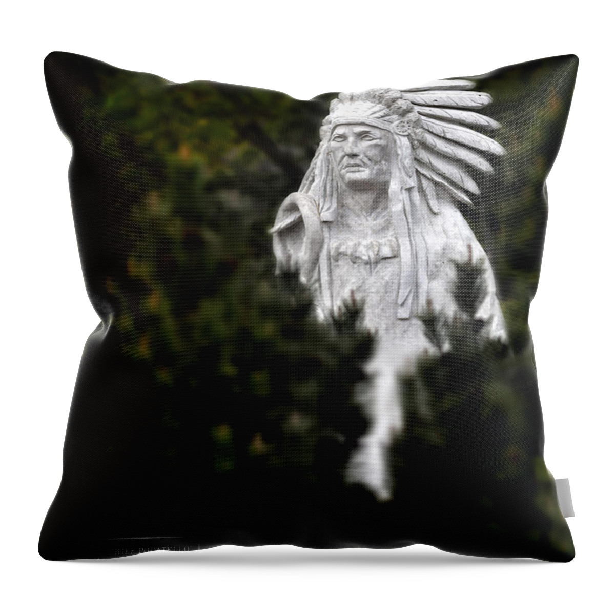 Idaho Throw Pillow featuring the photograph Chief Pocatello Scultpure in Pocatello Idaho by Lane Erickson