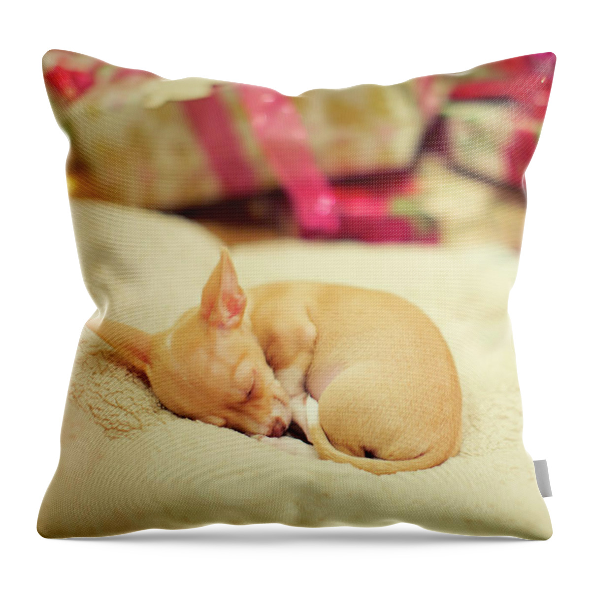 Mr Pickles Throw Pillow featuring the photograph Chihuahua Puppy Christmas Dreams by Susan Gary