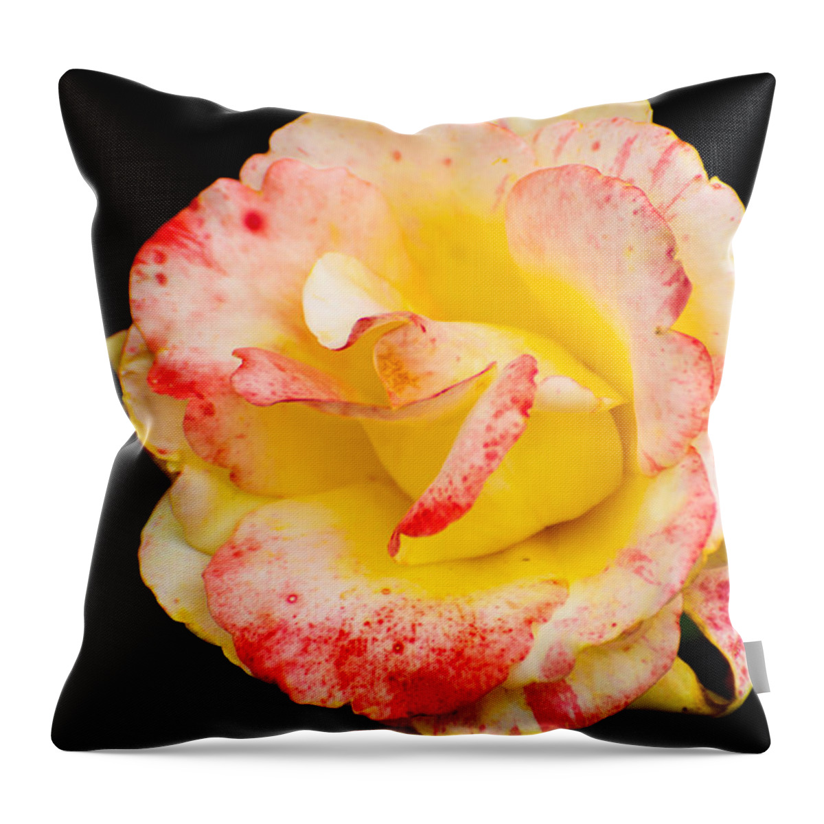 Flowers Throw Pillow featuring the photograph Chihuly by Metaphor Photo