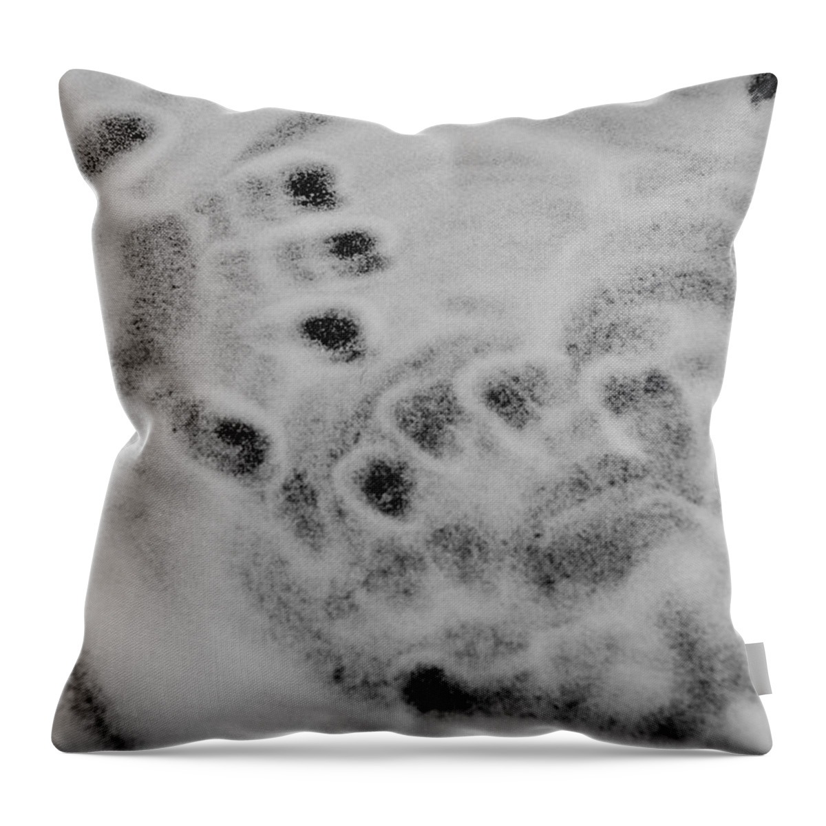 Black And White Throw Pillow featuring the photograph Child Hand Prints by Rob Hans