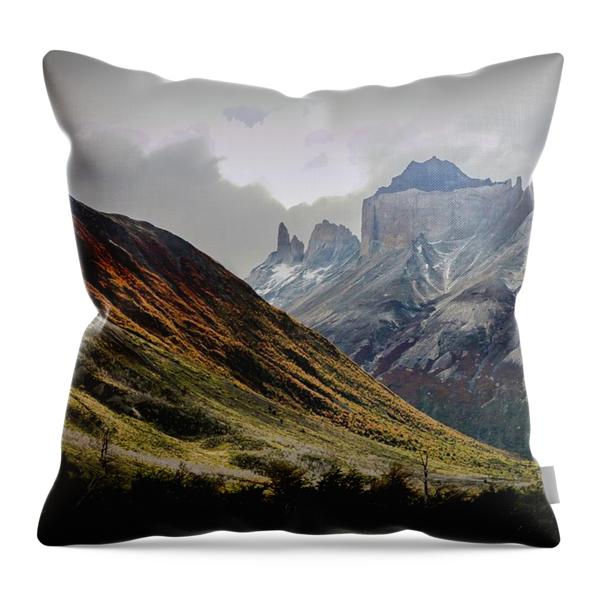 Landscape Throw Pillow featuring the photograph Chilean Valley by Ryan Weddle