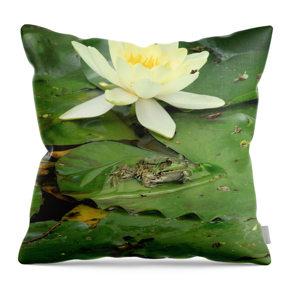 Nature Photography Throw Pillow featuring the photograph Chilling at the pad by Robert Carey