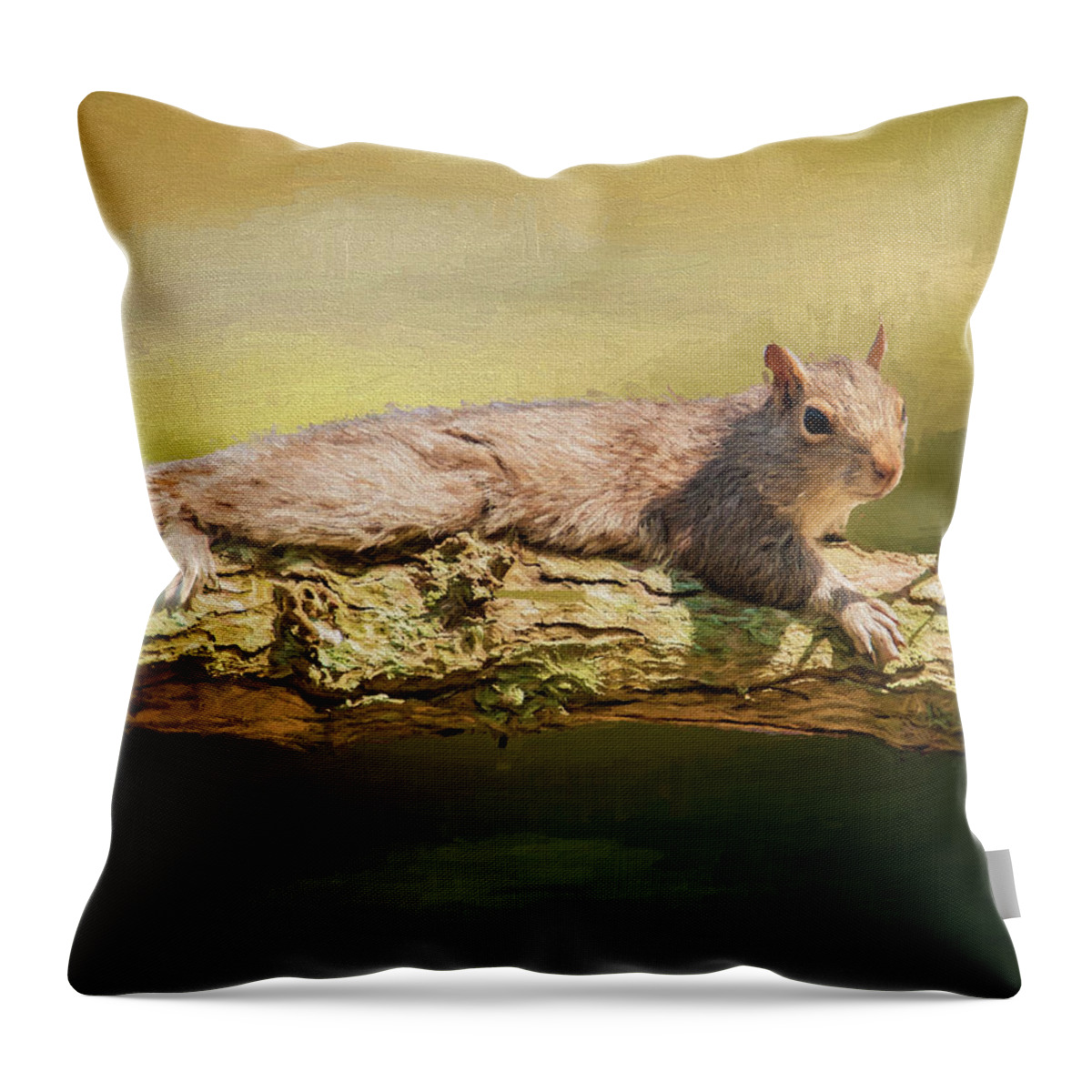 Squirrel Throw Pillow featuring the photograph Chilling In The Trees by Cathy Kovarik