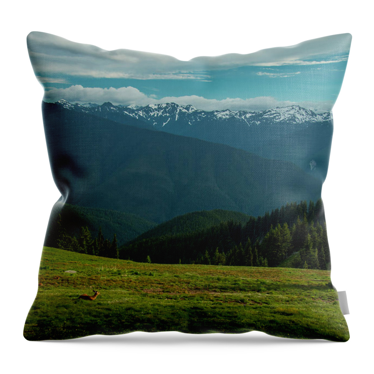 Olympic National Park Throw Pillow featuring the photograph Chilling Out at Dusk by Doug Scrima