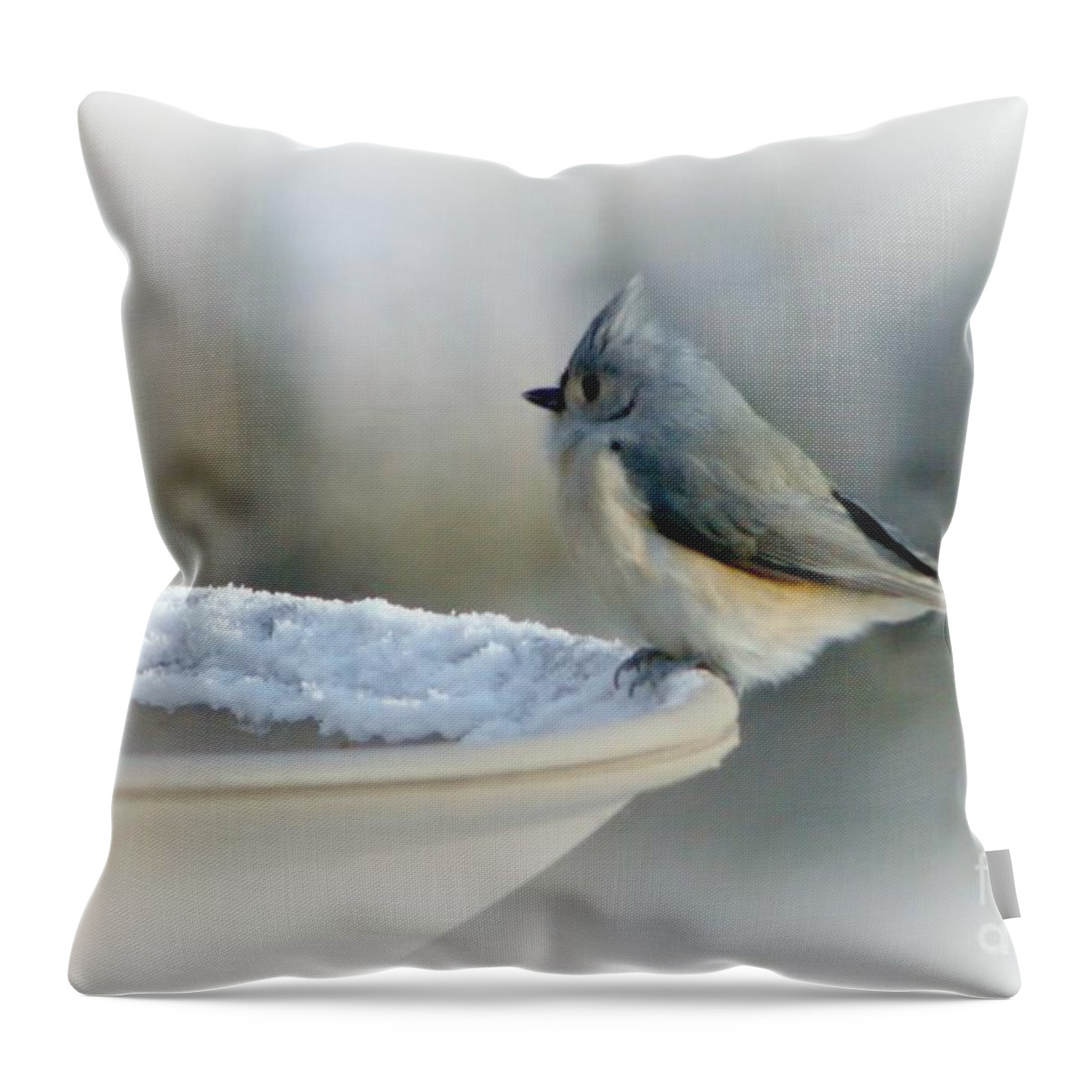 Winter Throw Pillow featuring the photograph Chilly Start by Barbara S Nickerson