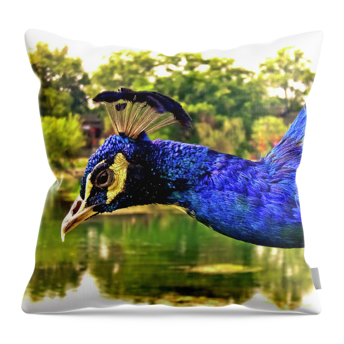 China Throw Pillow featuring the photograph China Guilin landscape scenery photography-10 by Artto Pan