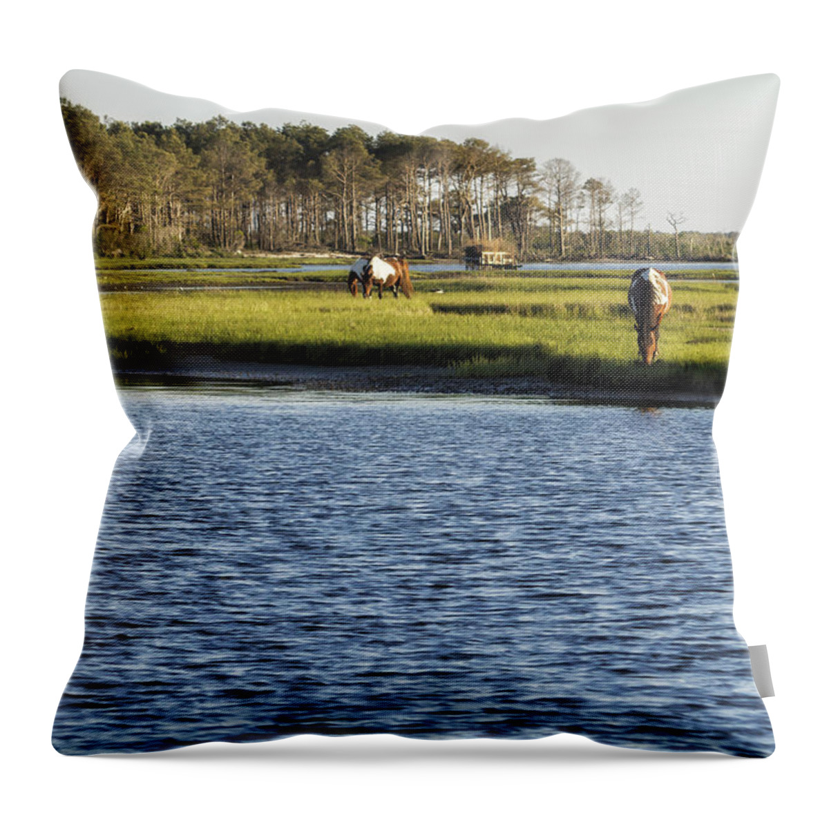 Ponies Throw Pillow featuring the photograph Chincoteague Ponies on Assateague Island by Belinda Greb